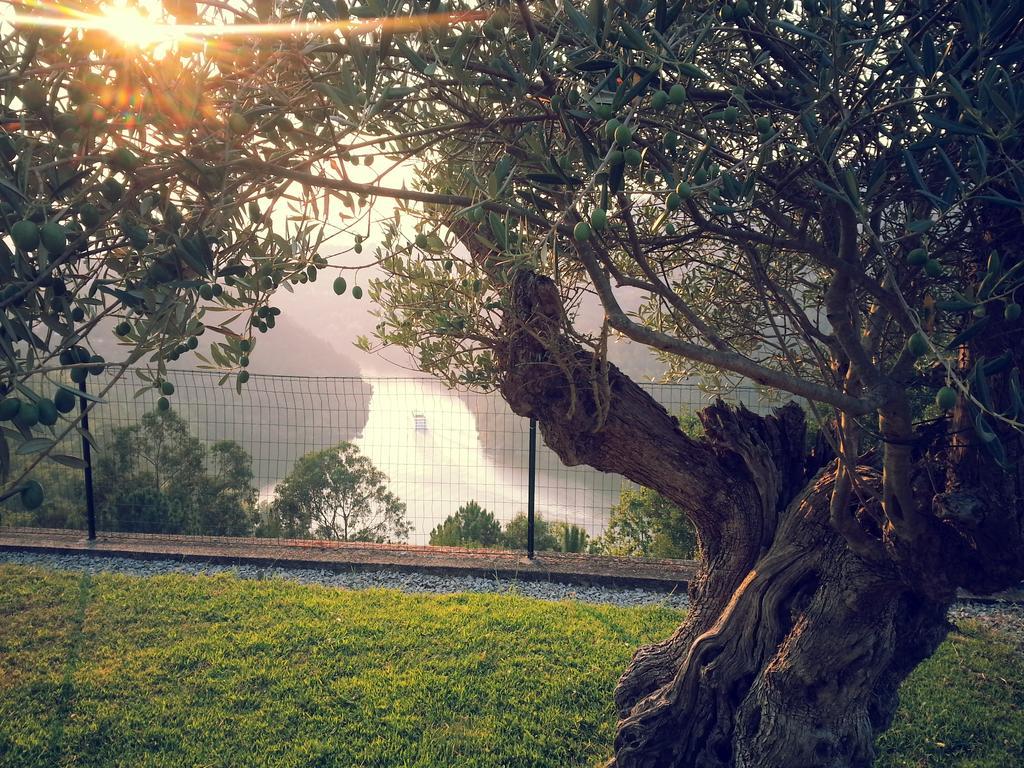Quinta Das Tilias Douro Valley Cabaca Ngoại thất bức ảnh