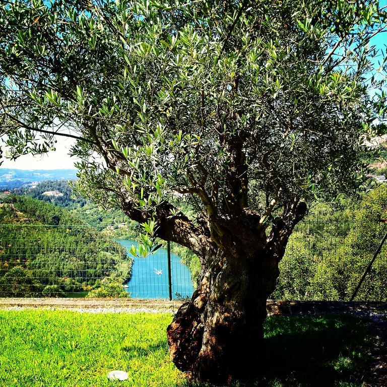 Quinta Das Tilias Douro Valley Cabaca Ngoại thất bức ảnh