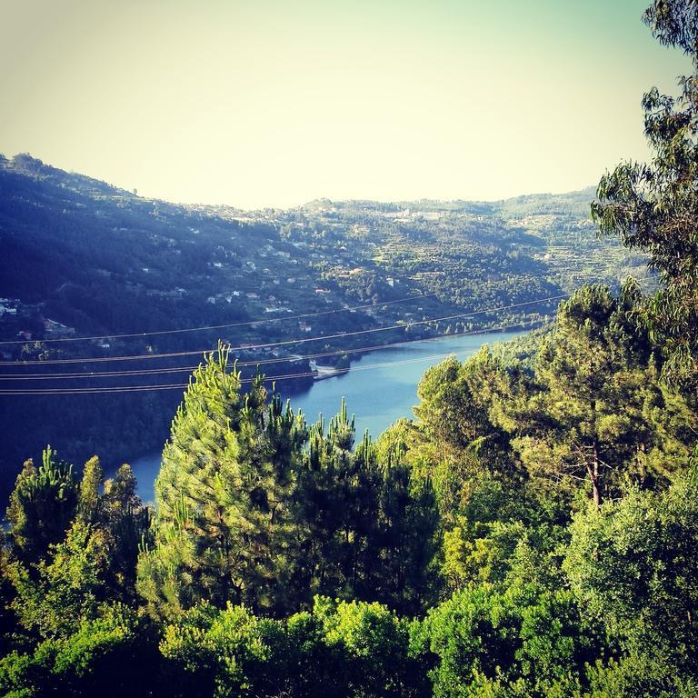 Quinta Das Tilias Douro Valley Cabaca Ngoại thất bức ảnh